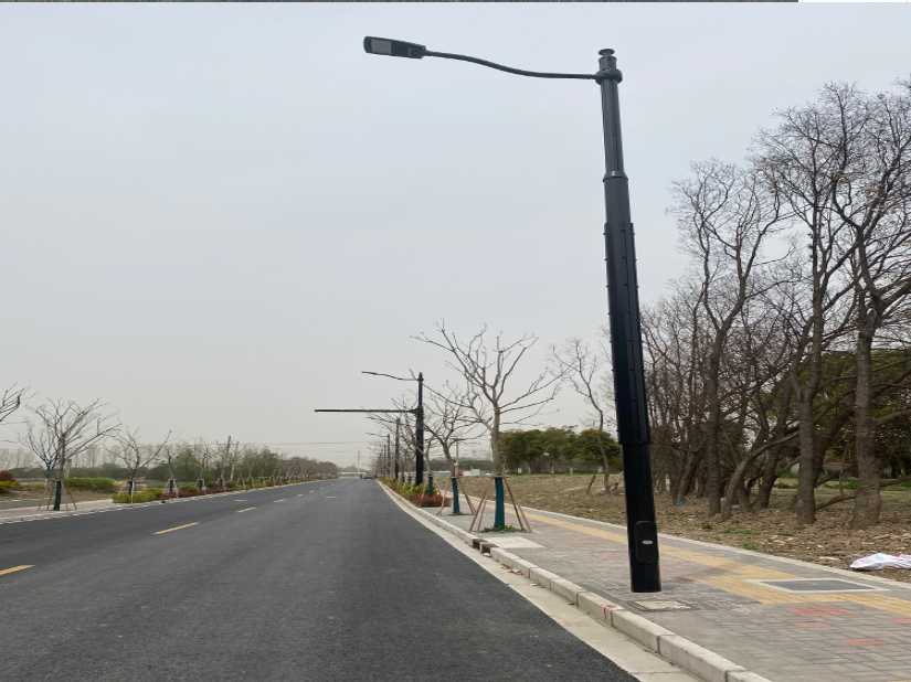 丛台区上海综合杆 太阳能路灯工程